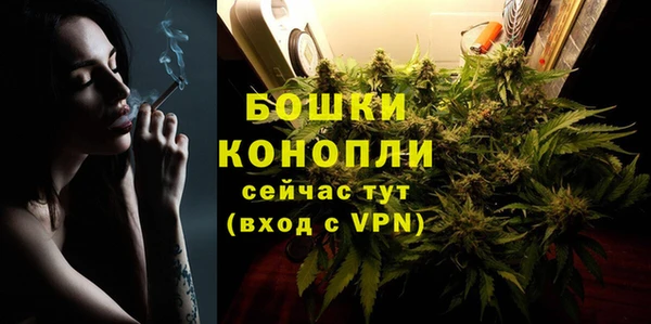 сатива Мегион