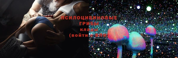 сатива Мегион