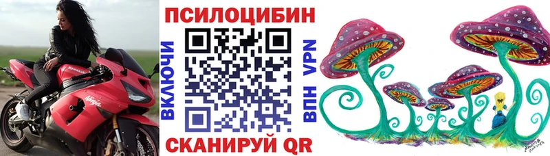 сколько стоит  Кувшиново  Галлюциногенные грибы Psilocybe 